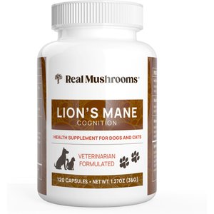 Real Mushrooms Lion's Mane Capsule Cognitive Supplement for Dogs & Cats, 120 count