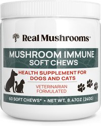Real Mushrooms Mushroom Immune Chews Supplement for Dogs & Cats, 60 count