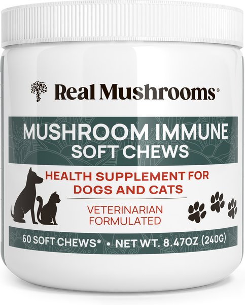 Real Mushrooms Mushroom Immune Chews Supplement for Dogs & Cats, 60 count