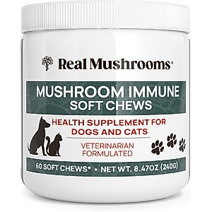 Real Mushrooms Mushroom Immune Chews Supplement for Dogs & Cats, 60 count