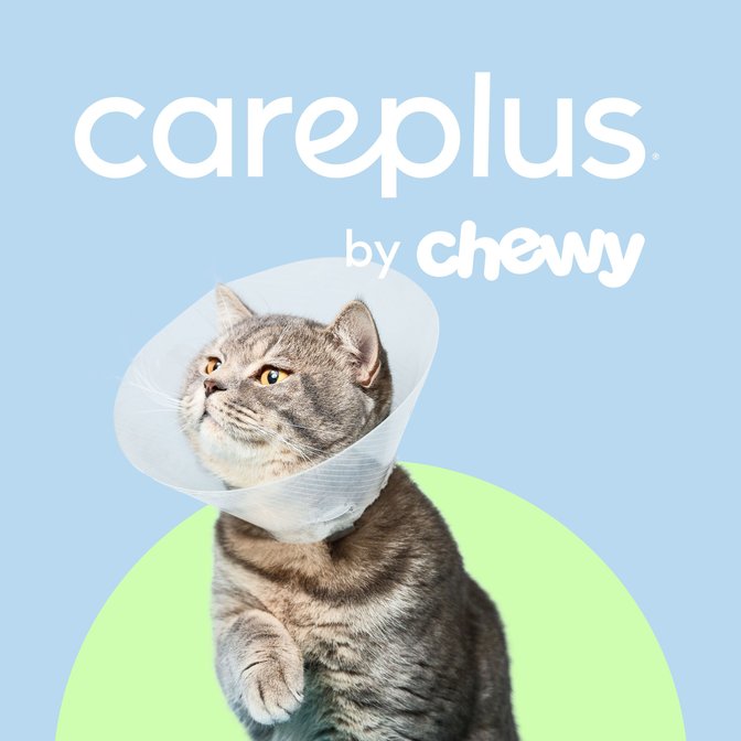 Pet Care 2