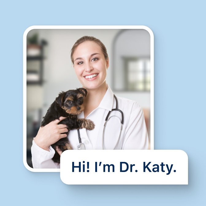 Pet Care 3