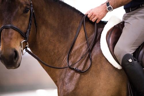 Show full view: ThinLine Wrapped English Buckle End Horse Reins, Dark Brown, 60-in slide 2 of 2