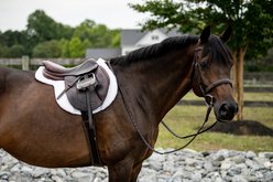 ThinLine Anatomic Hunter Jumper Girth, Dark Brown, 54-in slide 2 of 4
