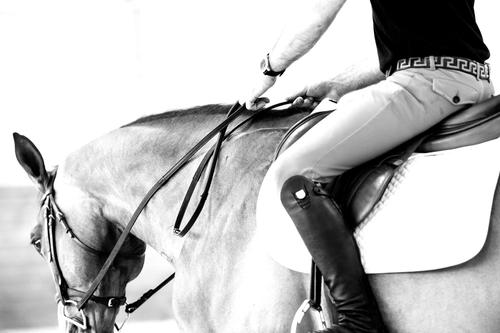 Show full view: ThinLine Lined English Horse Reins, Dark Brown, 54-in slide 3 of 3