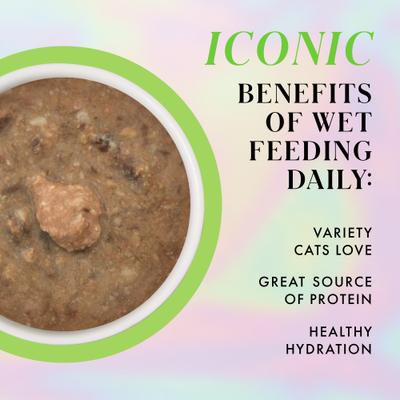 Show full view: Pamper Like Paris Chicken & Lamb Dinner in Gravy Grain-Free Shredded Wet Cat Food, 2.47-oz pouch, case of 12 slide 6 of 10