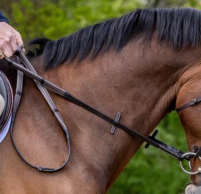 Show full view: ThinLine Wrapped English Stud End Horse Reins with Hand Stops, Dark Brown, 60-in slide 3 of 3