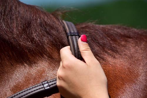 Show full view: ThinLine Wrapped English Stud End Horse Reins with Hand Stops, Dark Brown, 60-in slide 2 of 3