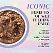 Show in main carousel: Pamper Like Paris Beef & Chicken Dinner in Gravy Grain-Free Shredded Wet Cat Food, 2.47-oz pouch, case of 12 slide 6 of 10