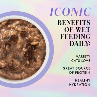 Show full view: Pamper Like Paris Beef & Chicken Dinner in Gravy Grain-Free Shredded Wet Cat Food, 2.47-oz pouch, case of 12 slide 6 of 10