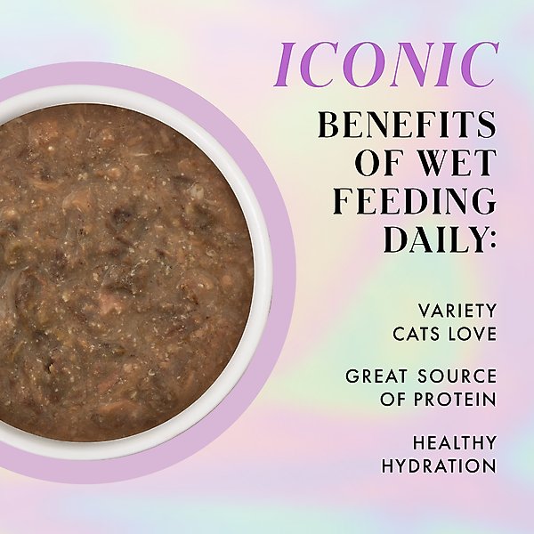 Show full view: Pamper Like Paris Beef & Salmon Dinner in Gravy Grain-Free Shredded Wet Cat Food, 2.47-oz pouch, case of 12 slide 6 of 10