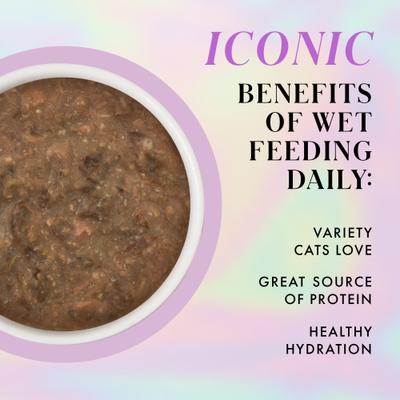 Show full view: Pamper Like Paris Beef & Salmon Dinner in Gravy Grain-Free Shredded Wet Cat Food, 2.47-oz pouch, case of 12 slide 6 of 10