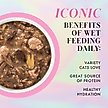 Show in main carousel: Pamper Like Paris Duck & Salmon Dinner in Gravy Grain-Free Shredded Wet Cat Food, 2.47-oz pouch, case of 12 slide 6 of 10