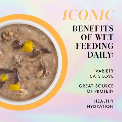 Show full view: Pamper Like Paris Chicken & Pumpkin Dinner in Gravy Grain-Free Shredded Wet Cat Food, 2.47-oz pouch, case of 12 slide 6 of 10