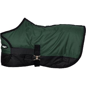 Tough1 600D Adjustable Foal Horse Blanket, Hunter Green, Large