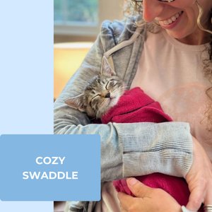 Calm & Cozy Cat Wrap Pro, Medium, Grey