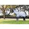 Show in main carousel: LeMieux Arika Armour-Tek Rug Horse Fly Sheet, Grey, 78-in slide 2 of 7
