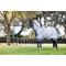 Show in main carousel: LeMieux Arika Armour-Tek Rug Horse Fly Sheet, Grey, 78-in slide 3 of 7