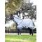 Show in main carousel: LeMieux Arika Armour-Tek Rug Horse Fly Sheet, Grey, 78-in slide 1 of 7
