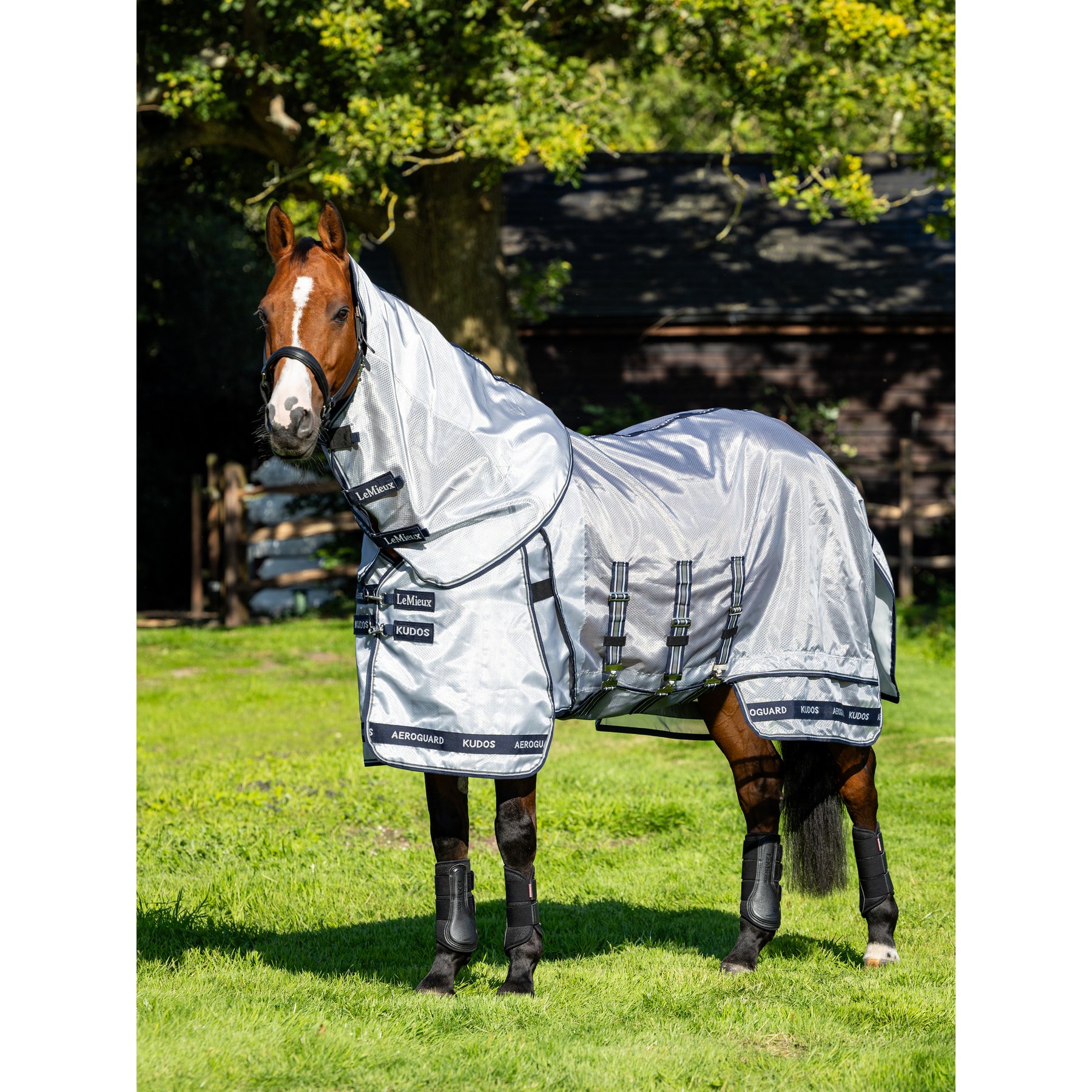 LeMieux Kudos AeroGuard Rug Horse Fly Sheet, Silver, 78-in