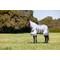 Show in main carousel: LeMieux Kudos AeroGuard Rug Horse Fly Sheet, Silver, 78-in slide 2 of 9