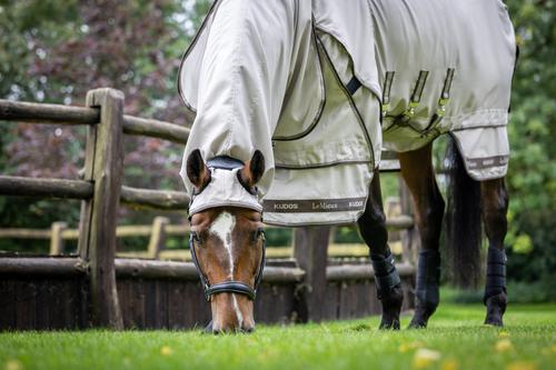 Show full view: LeMieux Kudos Sweet Itch Blanket Horse Fly Sheet, Stone, 72-in slide 6 of 8
