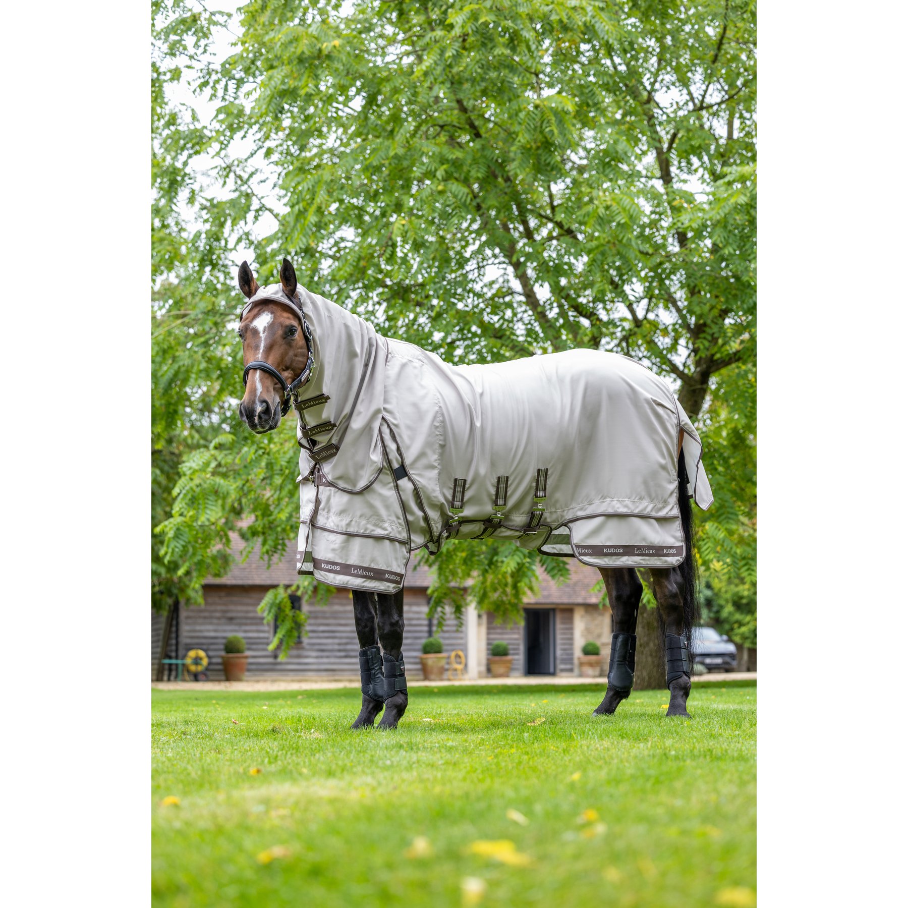 LeMieux Kudos Sweet Itch Blanket Horse Fly Sheet, Stone, 72-in