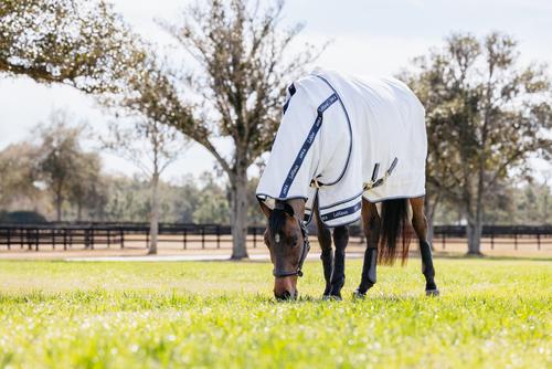 Show full view: LeMieux Arika Field Rug Horse Fly Sheet, White, 72-in slide 9 of 9