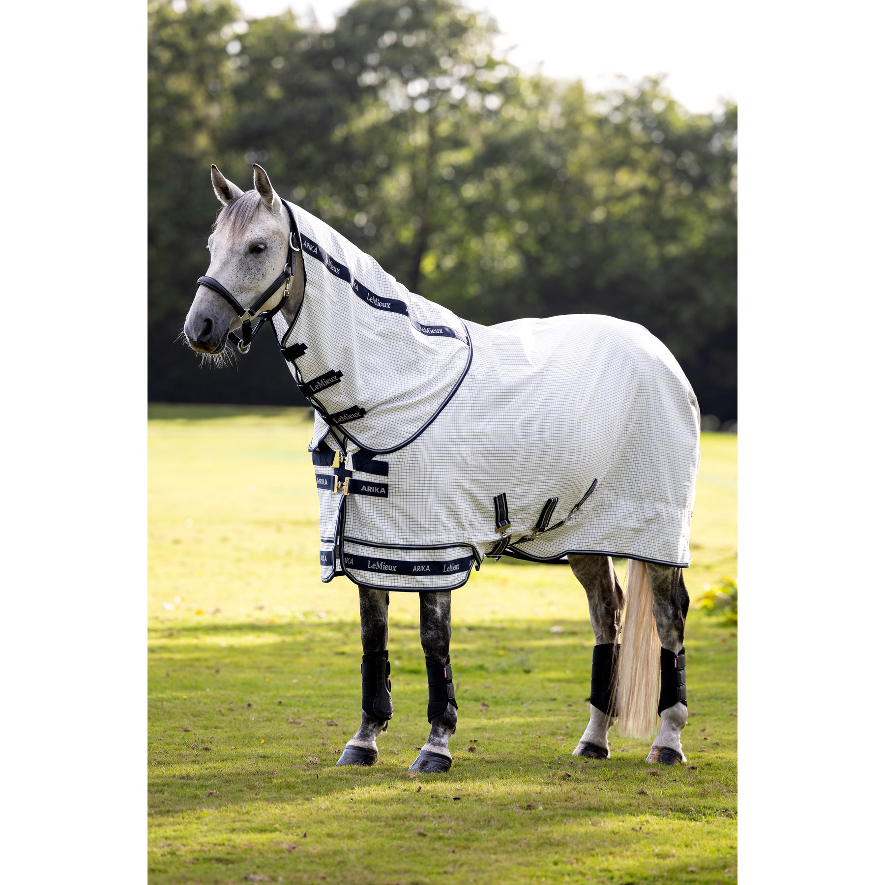 LeMieux Arika Field Rug Horse Fly Sheet, White, 81-in