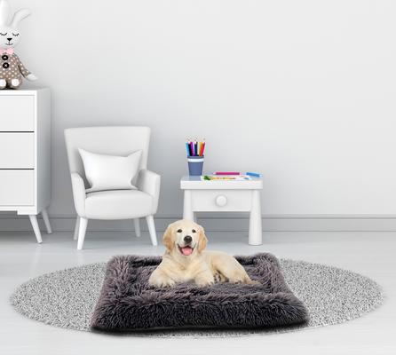 Show full view: Details Bordered Design Calming Blanket/Mat for Cats & Dogs, Gray, Large slide 4 of 7