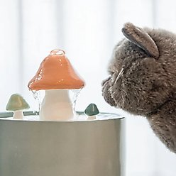 Happy & Polly Mushroom Ceramic Cat Water Fountain with 6 Filters, Green, 33-oz slide 2 of 9