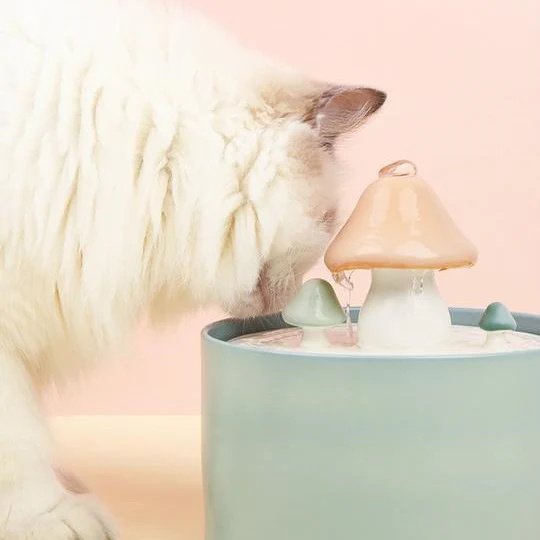 Show full view: Happy & Polly Mushroom Ceramic Cat Water Fountain, Green, 1.5L/50-oz slide 2 of 8