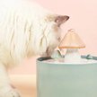Show in main carousel: Happy & Polly Mushroom Ceramic Cat Water Fountain, Green, 1.5L/50-oz slide 2 of 8