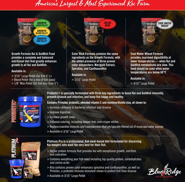 Blue Ridge Koi & Goldfish Probiotic Plus Formula Koi & Goldfish Food