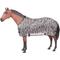 Show in main carousel: Tough1 Zebra Mesh Horse Fly Sheet, 75-in slide 1 of 2