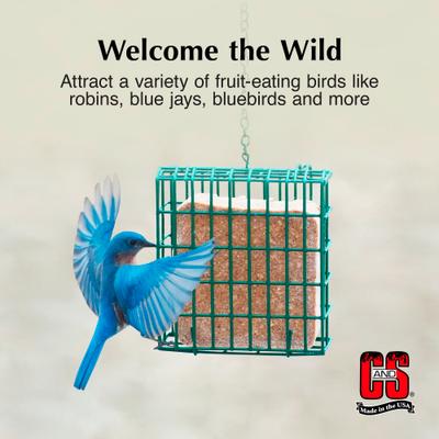 Show full view: C&S Berry Treat Suet Wild Bird Food, case of 12 slide 3 of 12