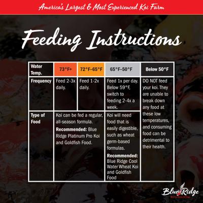 Show full view: Blue Ridge Koi & Goldfish Probiotic Plus Formula Koi & Goldfish Food, 50-lb bag slide 2 of 7