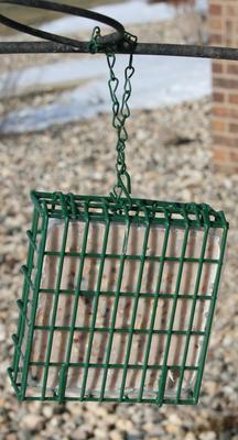 Show full view: C&S Fruit n' Nut Treat Suet Wild Bird Food, case of 12 slide 4 of 11