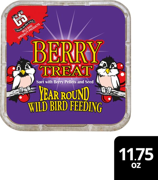C&S Berry Treat Suet Wild Bird Food