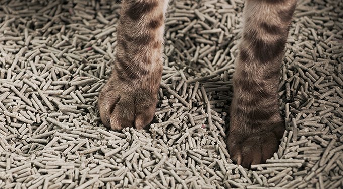 tuft + paw Really Great Cat Litter Unscented Low-Tracking, Flushable Tofu Cat Litter, 9.25-lb bag