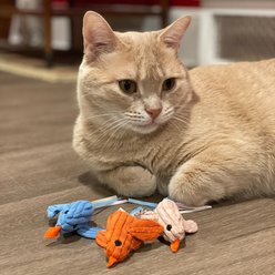 HuggleKats Chickies Cat Toy, 3 count slide 2 of 9