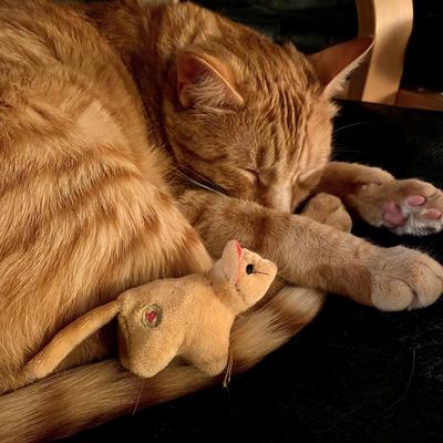 Show full view: HuggleKats Wee Squooshie Mice Cat Toy, 2 count slide 9 of 9