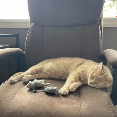 Show full view: HuggleKats Mightie Mice Cat Toy, 3 count slide 9 of 9