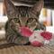 Show in main carousel: HuggleKats Dust Bunnies Cat Toy, 3 count slide 9 of 11