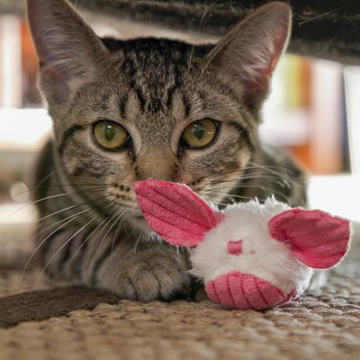 Show full view: HuggleKats Dust Bunnies Cat Toy, 3 count slide 9 of 11