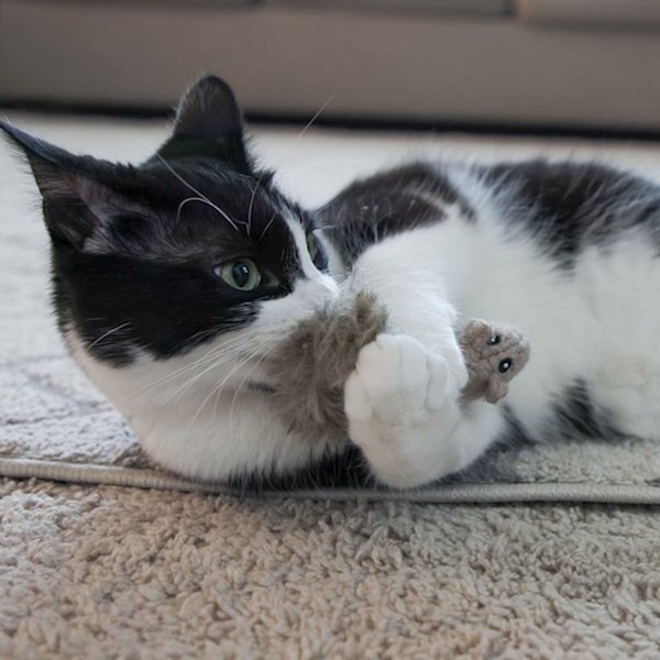 HuggleKats Wee Fellar Squirrelie Cat Toy, 1 count