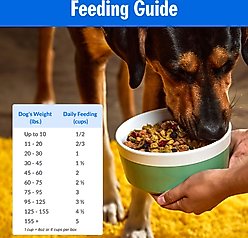 PetPlate FreshBaked Beef Gently Baked & Air-Dried Human-Grade Dog Food, 64-oz bundle slide 2 of 8