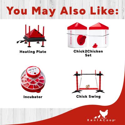 Show full view: RentACoop Red Barn Folding Chick Brooder Set, Small slide 9 of 12