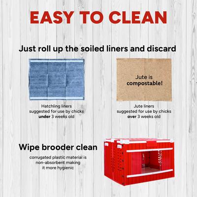 Show full view: RentACoop Red Barn Folding Chick Brooder Set, Small slide 6 of 12