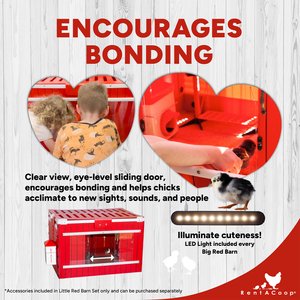 RentACoop Little Red Barn Folding Chick Brooder Set, Small